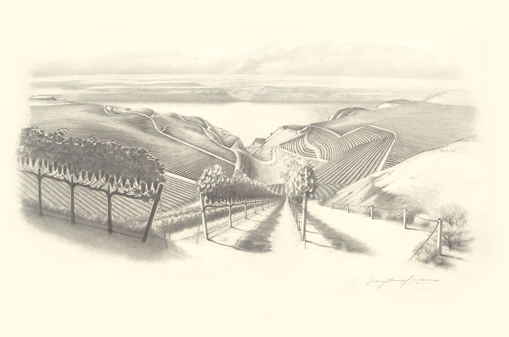 Graphite Drawing Of Valley 31.75x48 Web - Den Hoed Winery